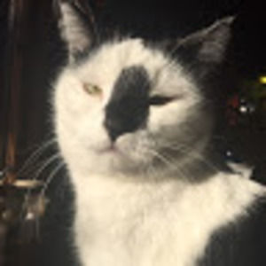 Meet your Posher, Frances